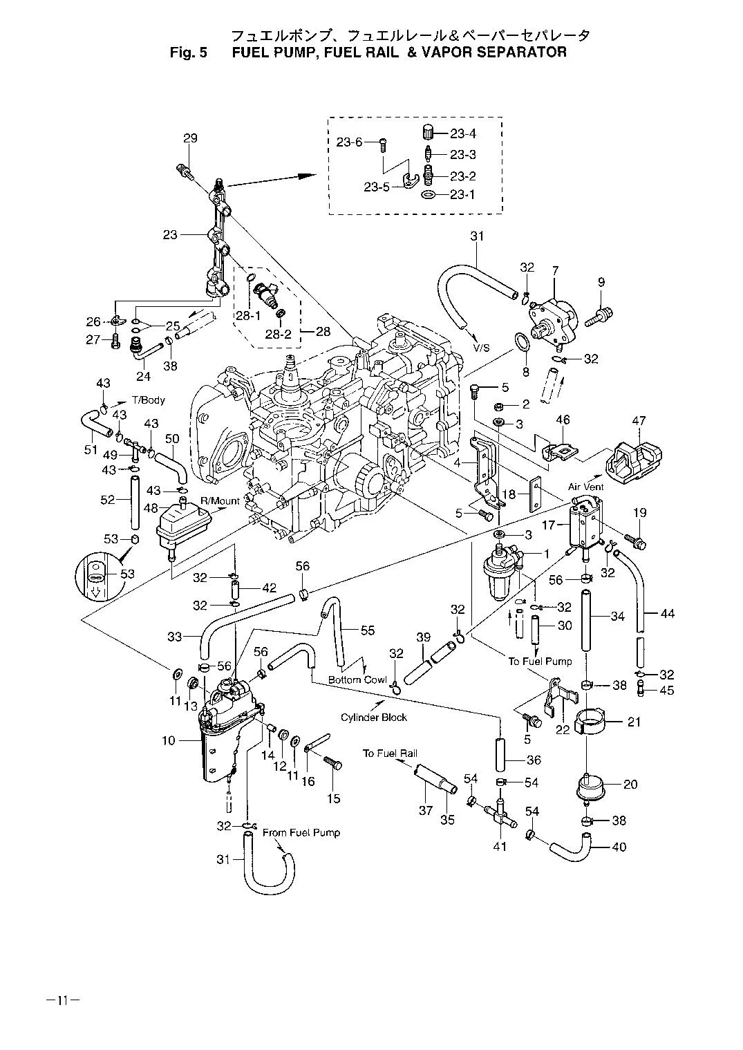 Fuel Pump, Fuel Rail & Vapor Separator