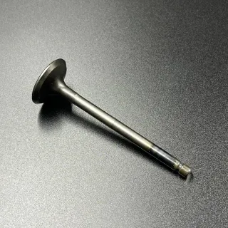 Клапан выпускной Yamaha F20-60 FT25-60 (Yamaha) картинка