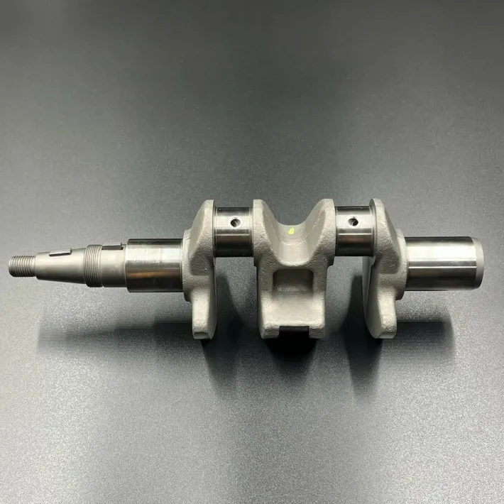 F8-05020001 — 2