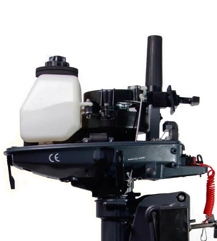 PLM-6 — 5