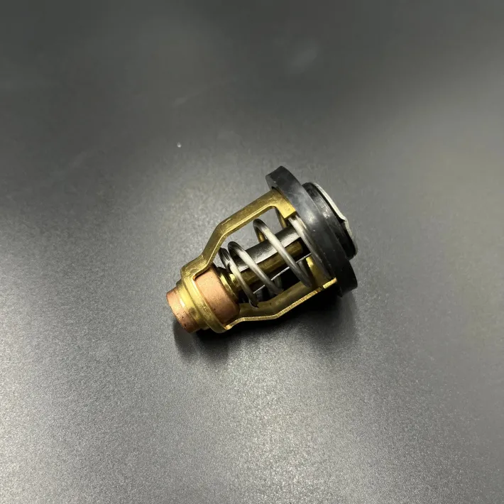 60V-12411-00 — 5