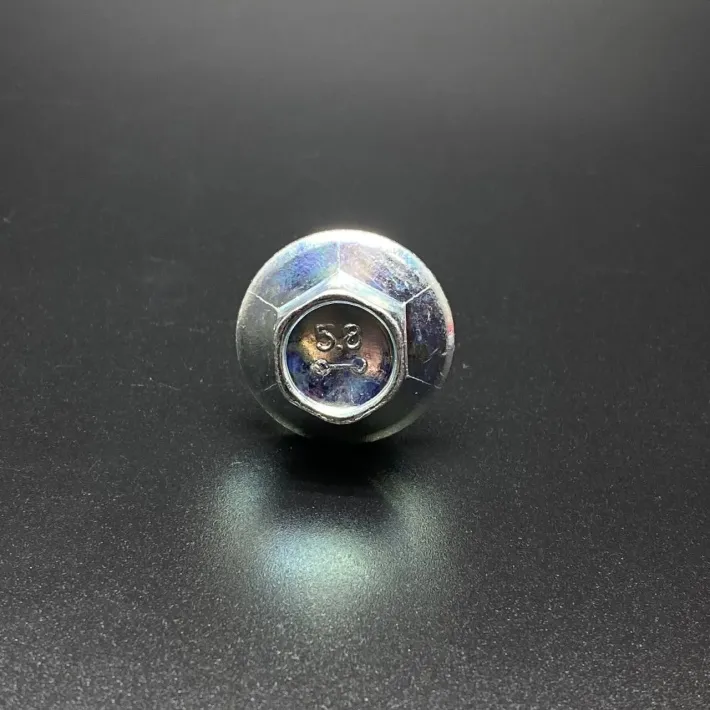 809911001 — 2