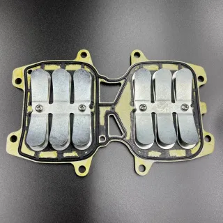 Лепестковые клапана Yamaha 40X (В сборе) (YUELANG) картинка