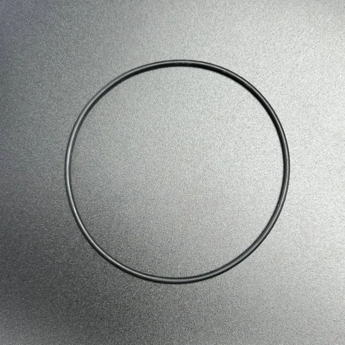 879312025 — 3