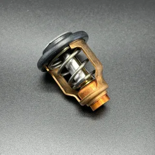 Термостат THERMOSTAT (Quicksilver) картинка