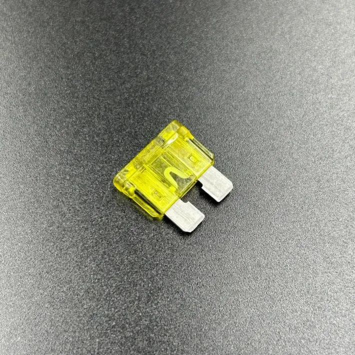812619 — 1