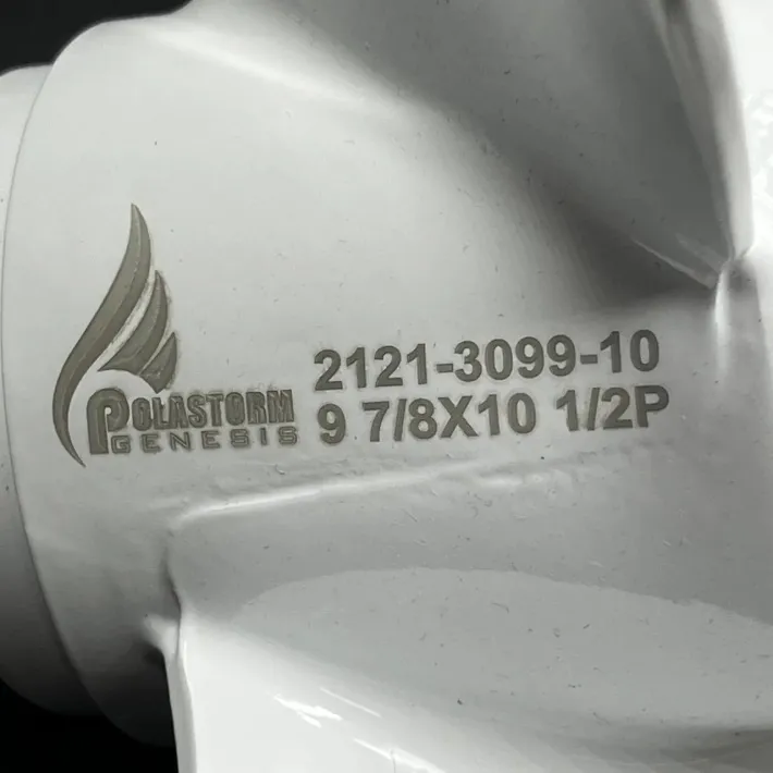 2121-3099-10 — 5