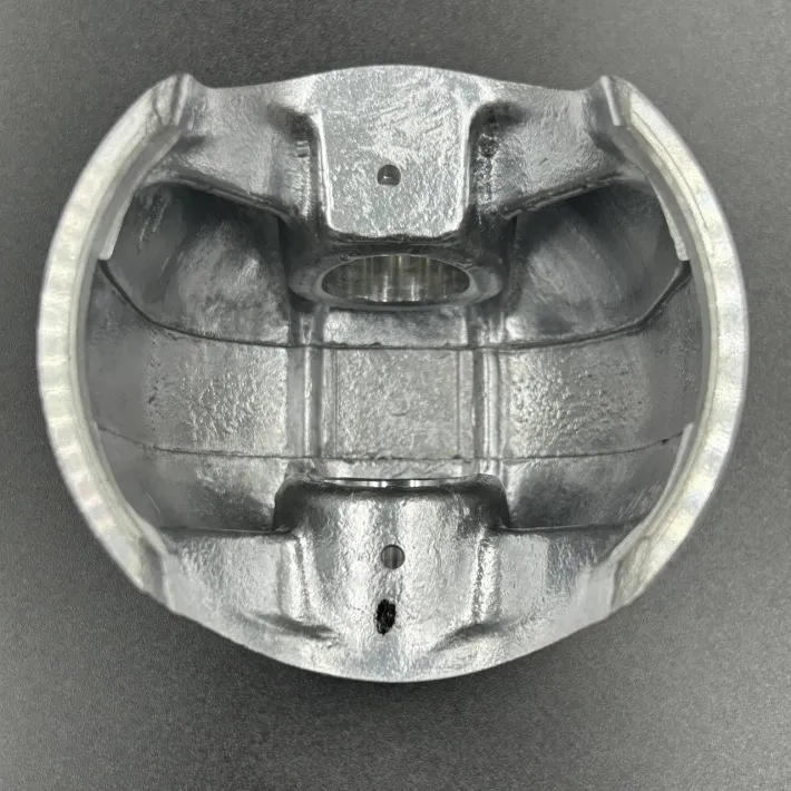 09-779-4M — 2