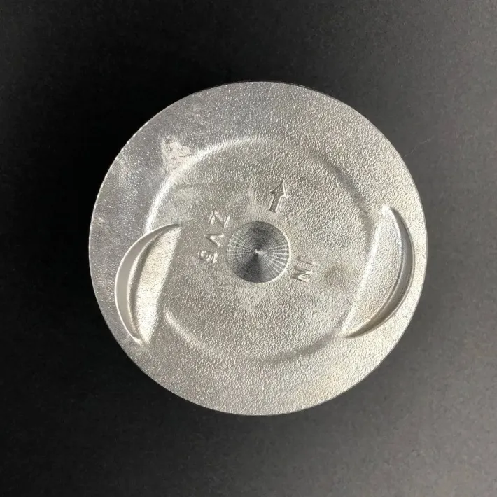 13101-ZV5-010 — 2