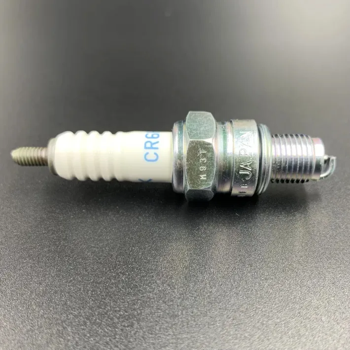 CR6HSA — 2