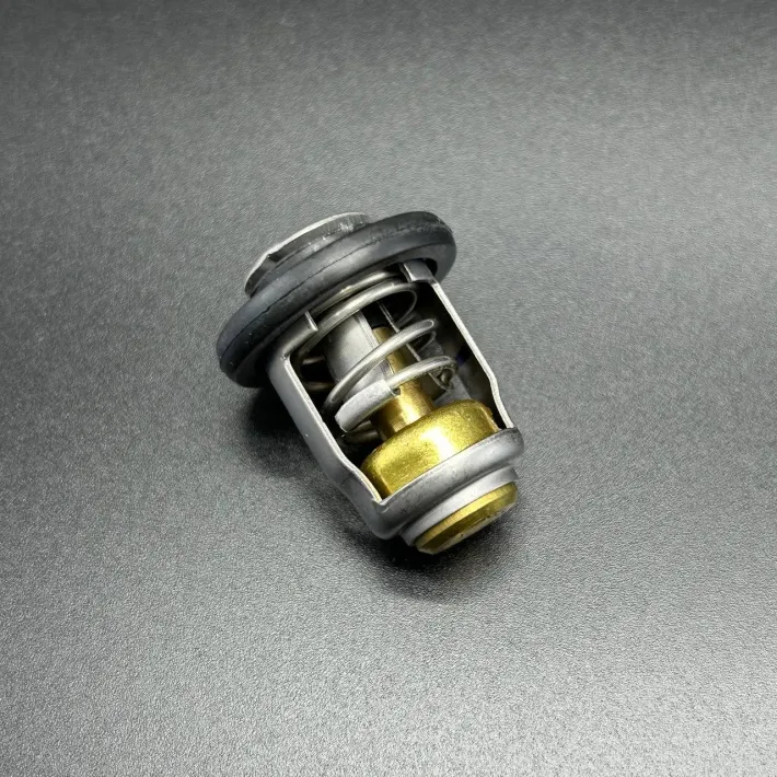 8M0119207 — 1