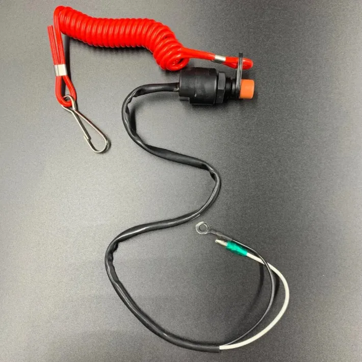 65W-82575-01 — 1