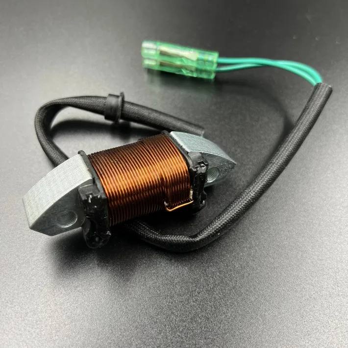 61N-81313-09 — 2