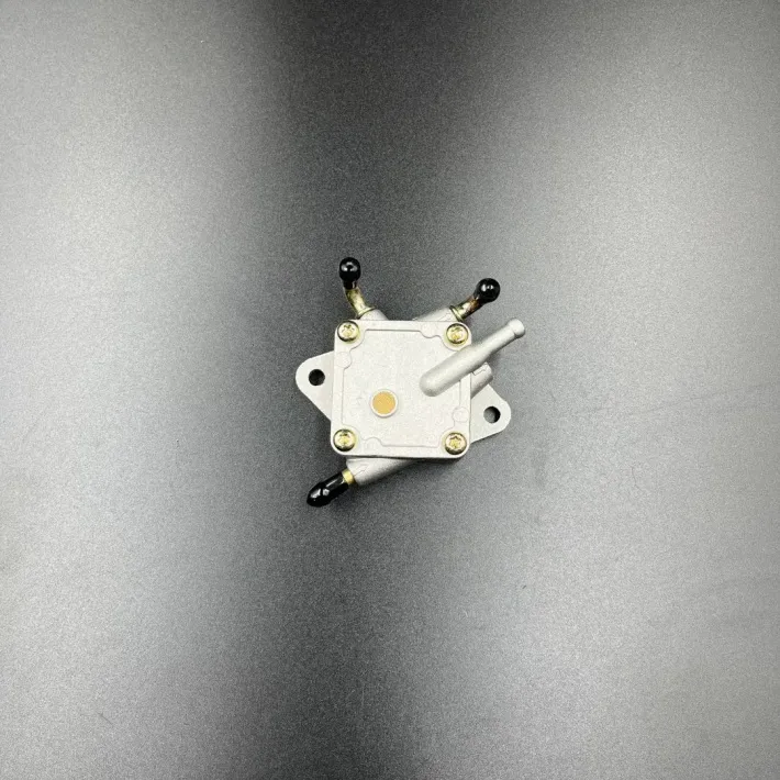 403901813 — 1