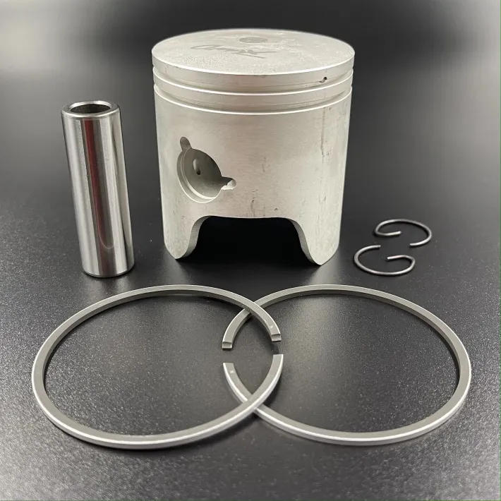 6H4-11631-01-2RING-KIT — 2