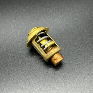 Термостат Mercury 30-40 (Quicksilver) картинка