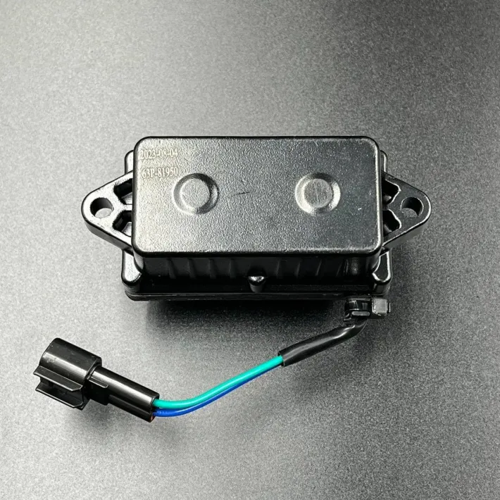 63P-81950-00 — 2