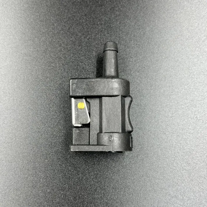 655-24305-00 — 1