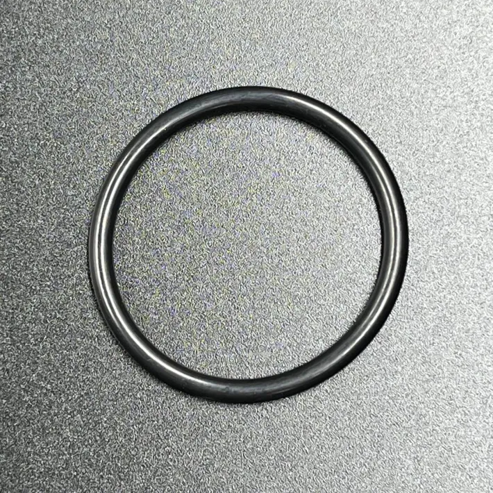 6H1-43861-10 — 1