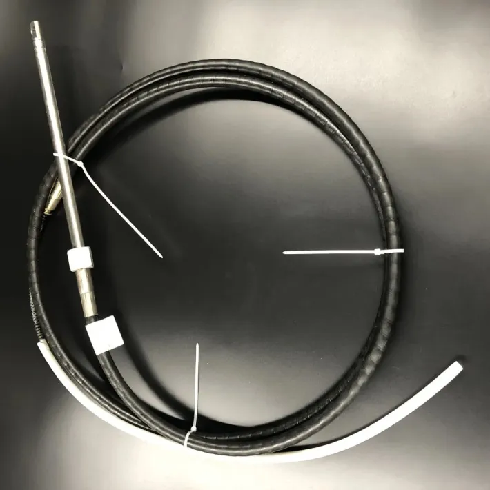 509009 — 1