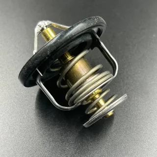 Термостат Yamaha PZ50/RPZ50; VK10 (Yamaha) картинка