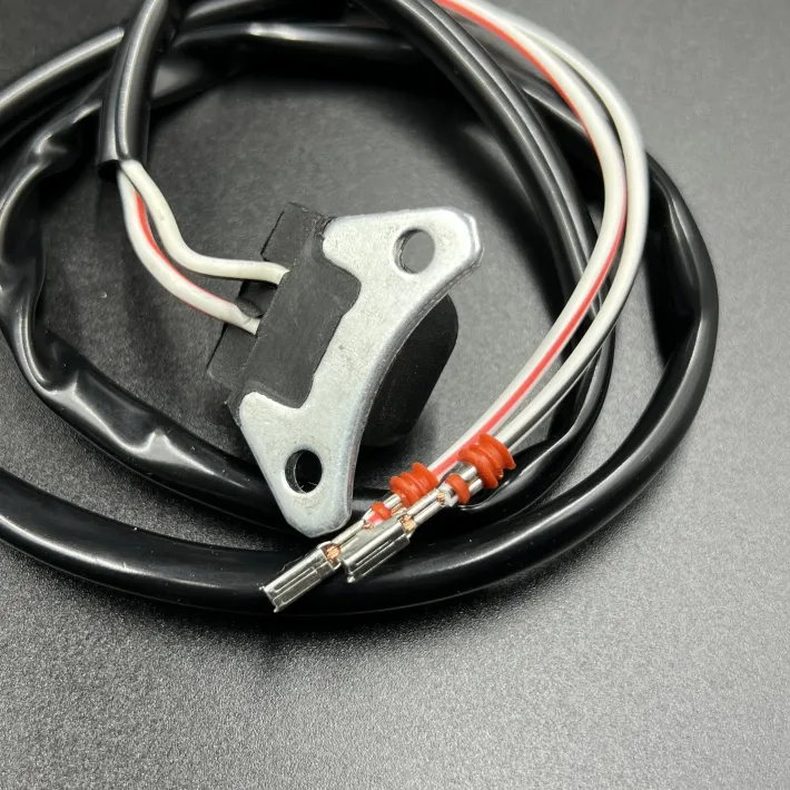 66T-85596-00 — 2