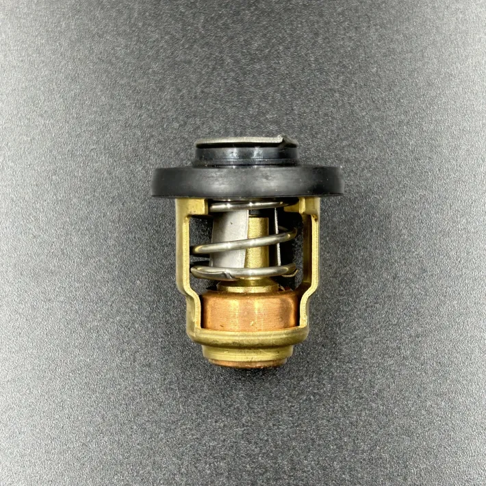 19300-ZW9-003 — 2
