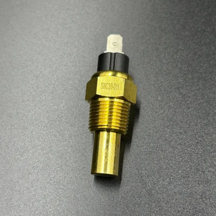 DPMTS-WT — 3