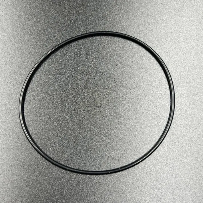 0180-310001 — 1
