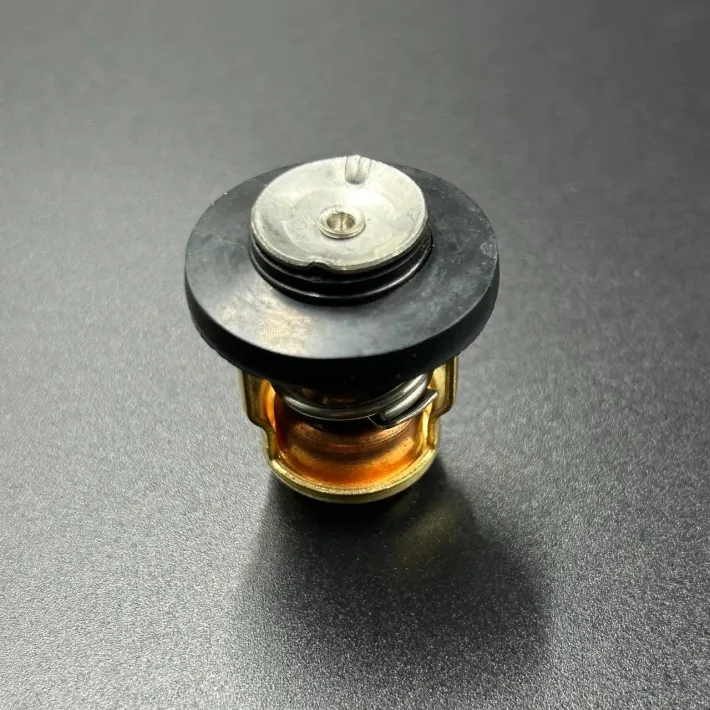 6G8-12411-01 — 2