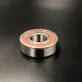 6204DDUCM — 2