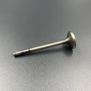 Клапан выпускной Honda BF15-20 (Honda) картинка