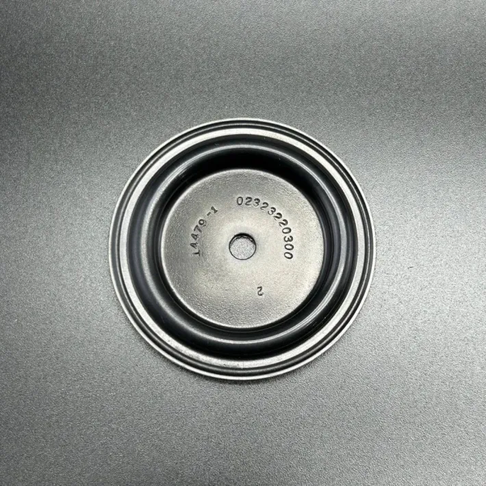 144791 — 1