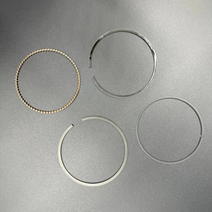 13010-ZW5-000 — 1