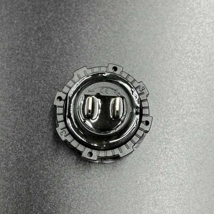 SPBG1T — 2