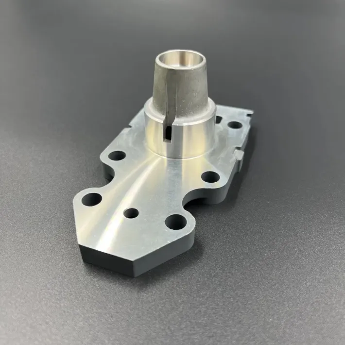 69G-45331-01-CA — 1