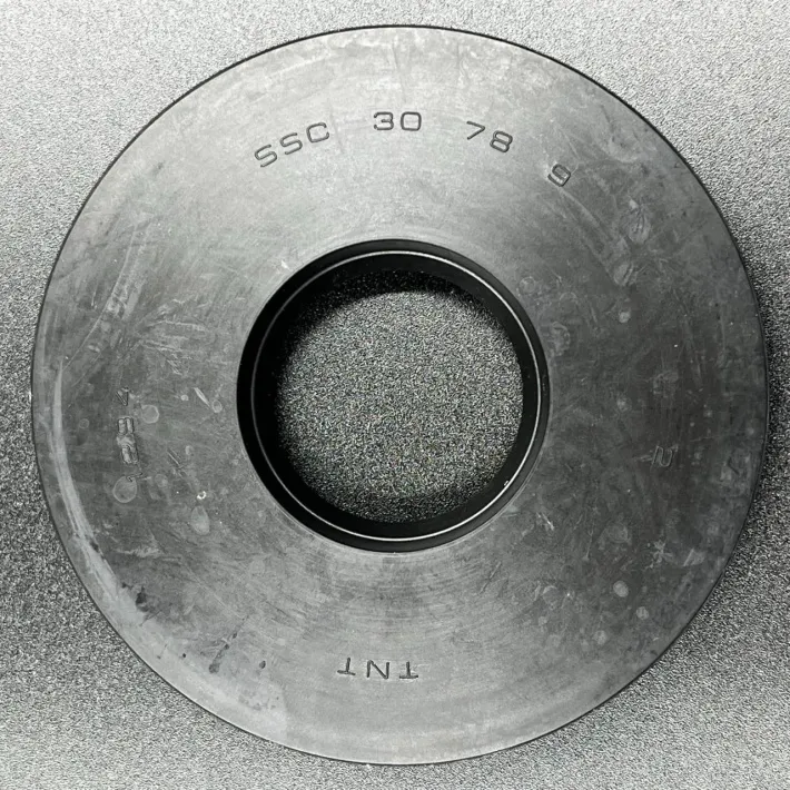 S501493 — 1