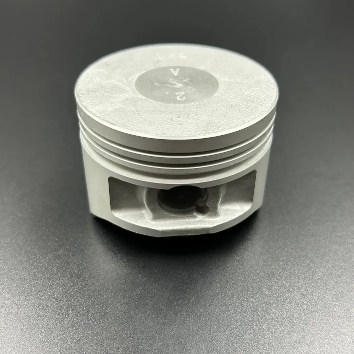 69W-11631-00 — 2