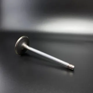 Клапан впускной VALVE-INTAKE (Quicksilver) картинка