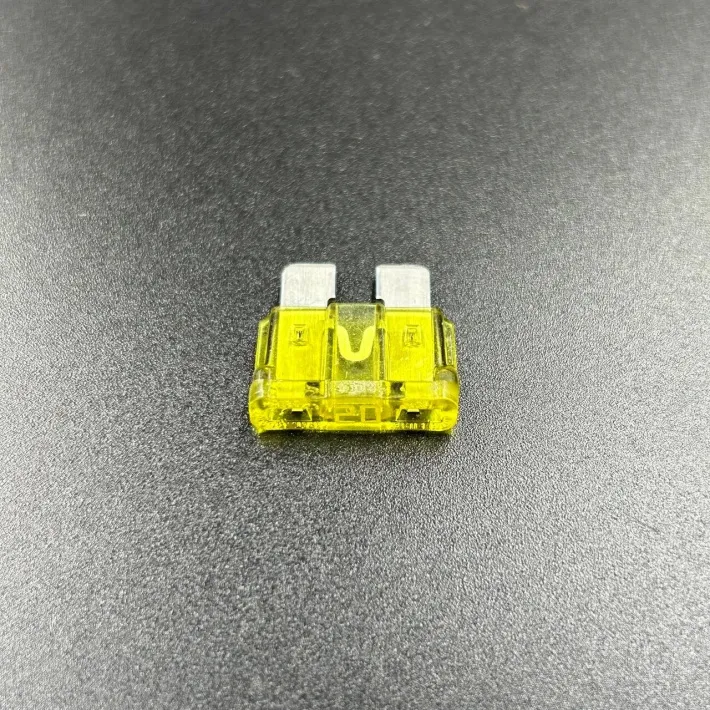 812619 — 2