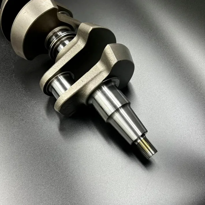 493-827616T1 — 3