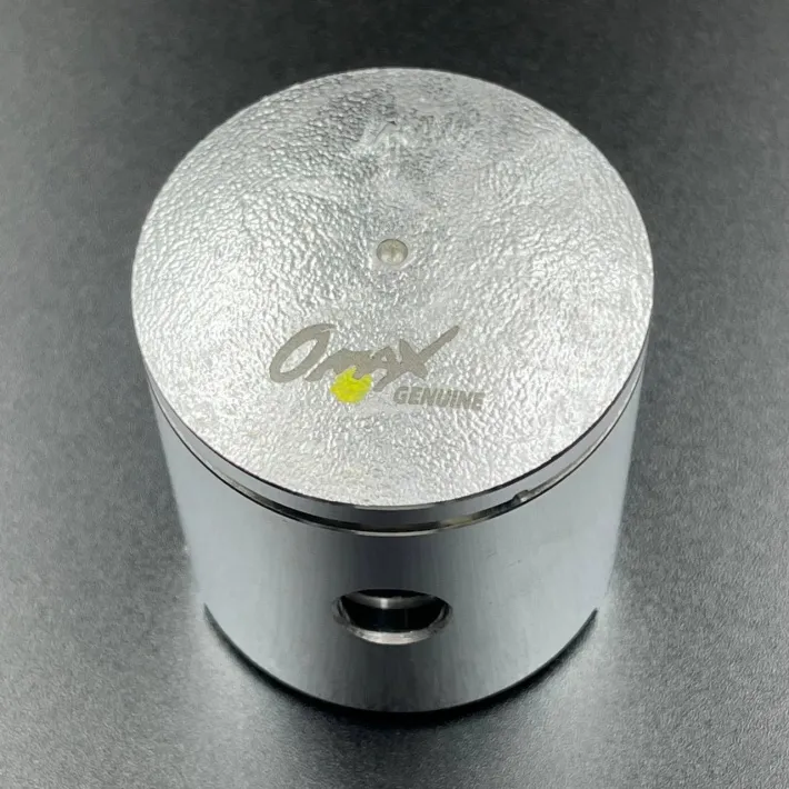 309-00001-0 — 2