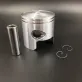 3C8-00004-0 — 1