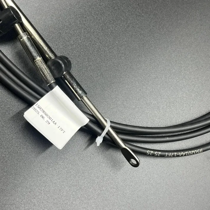 950201AA-17FT — 3