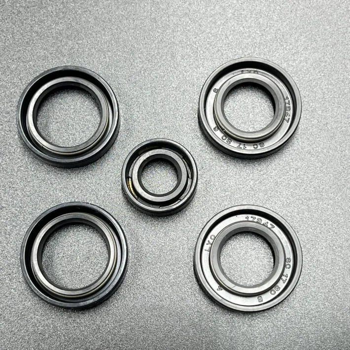69G-W0001-20 — 2