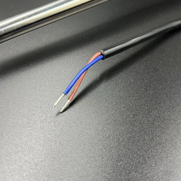 DP0190FM-55 — 2