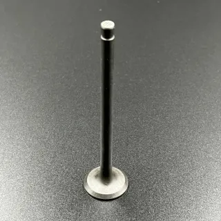 Клапан выпускной Yamaha F75-115 (Yamaha) картинка