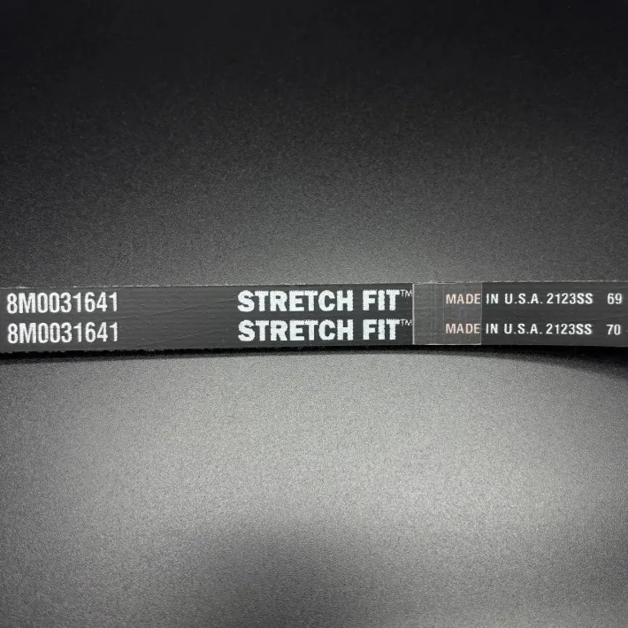 8M0031641 — 2