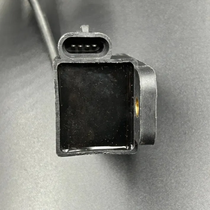 827509A4 — 4