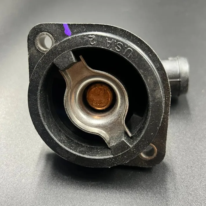 8M0090819 — 2